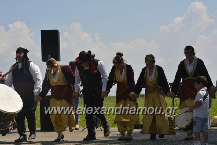 alexandriamou.gr_trikala28.5.2018003